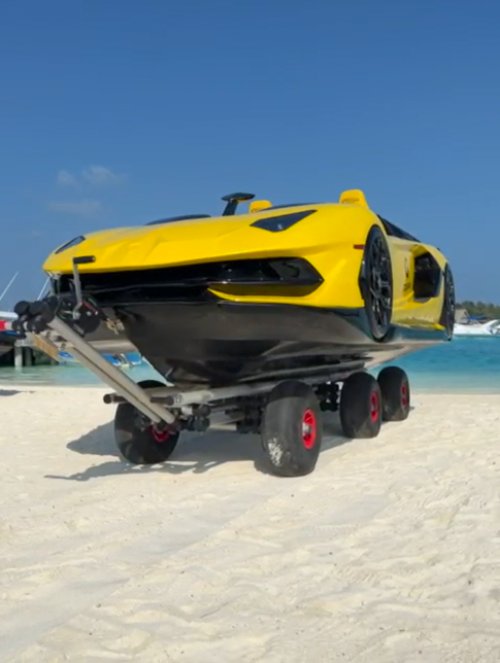 Transportwagen f�r Jetcar Wasserfahrzeuge kaufen - NEU